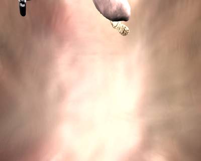 Sample image from SISVSE