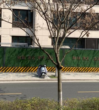 Sample image from Urban Street: Branch