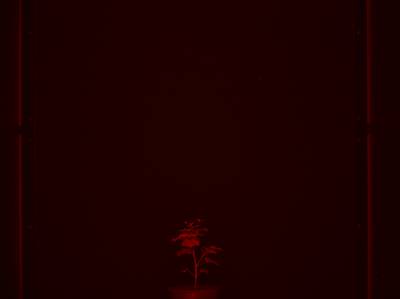 Sample image from CosegPP