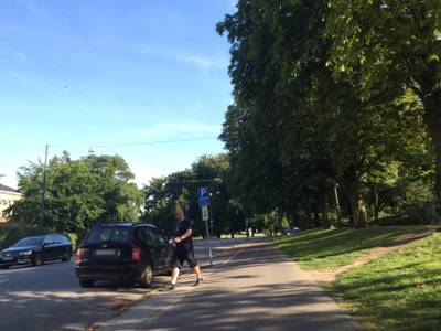 Sample image from Mapillary Vistas