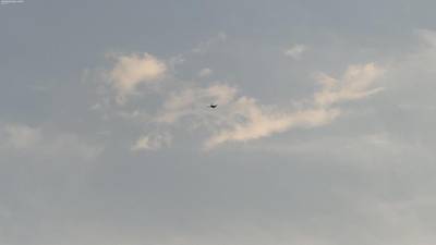 Sample image from Accurate Drone Shapes