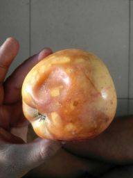 Sample image from FruitNet and FruitBox Dataset