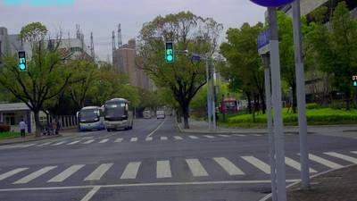 Sample image from S2TLD