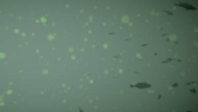 Sample image from BrackishMOT