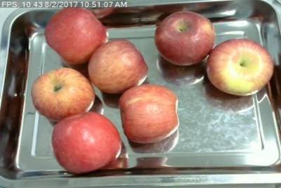 Sample image from Fruit Recognition