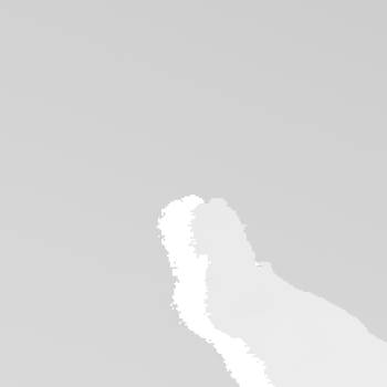 Sample image from CORE50