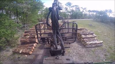 Sample image from TimberSeg