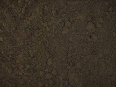 Sample image from Sugar Beets 2016