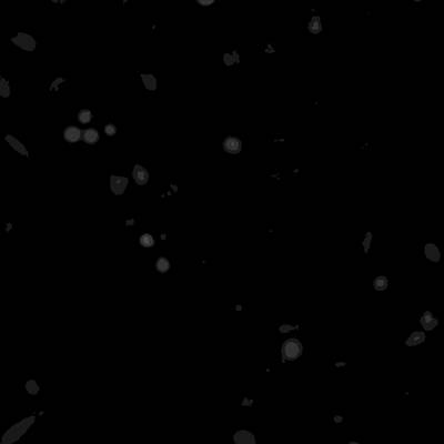 Sample image from Annotated Quantitative Phase Microscopy Cell