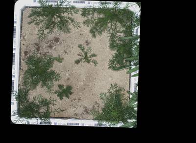 Sample image from OPPD: Full Images