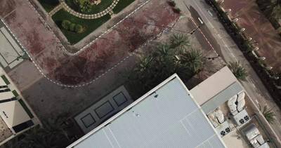 Sample image from Palm Trees