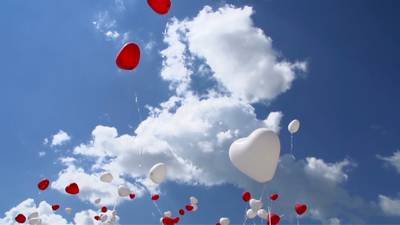 Sample image from GMOT-40