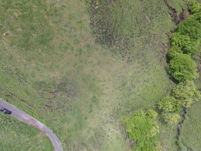 Sample image from Cattle Detection and Counting in UAV Images