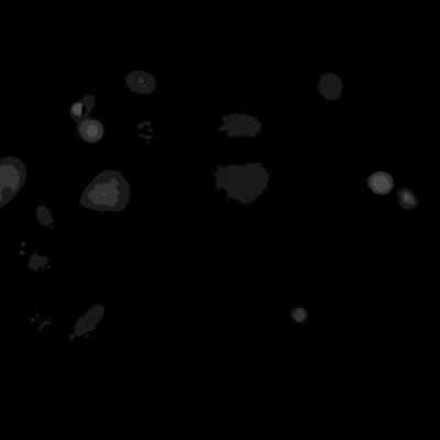 Sample image from Annotated Quantitative Phase Microscopy Cell