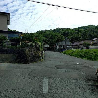 Sample image from RDD2022