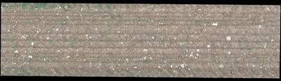 Sample image from Plant Detection and Counting