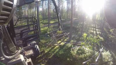 Sample image from TimberSeg