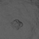 Sample image from DOORS