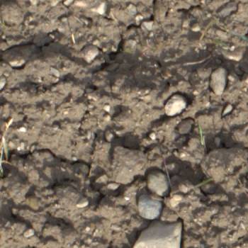 Sample image from EWS