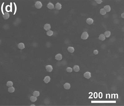 Sample image from EMPS