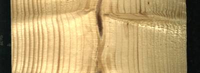 Sample image from Wood Defect Detection