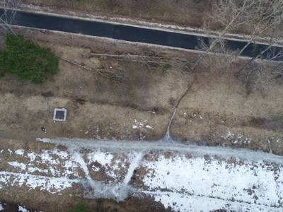 Sample image from LADD: Lacmus Drone Dataset