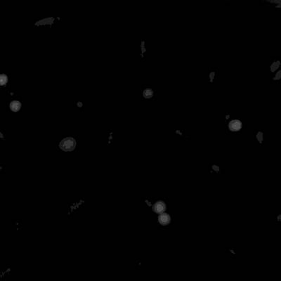 Sample image from Annotated Quantitative Phase Microscopy Cell