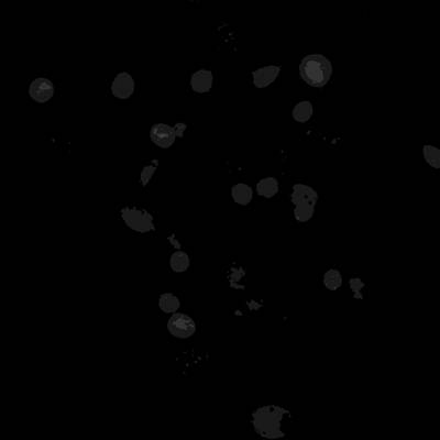 Sample image from Annotated Quantitative Phase Microscopy Cell