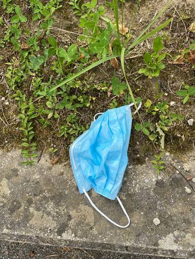 Sample image from MaskNet