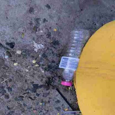 Sample image from AquaTrash