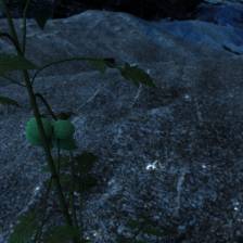 Sample image from Synthetic Plants