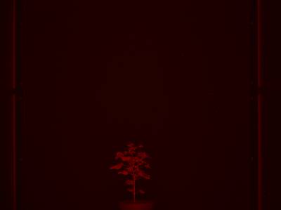 Sample image from CosegPP