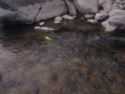 Sample image from Plastic Bottles