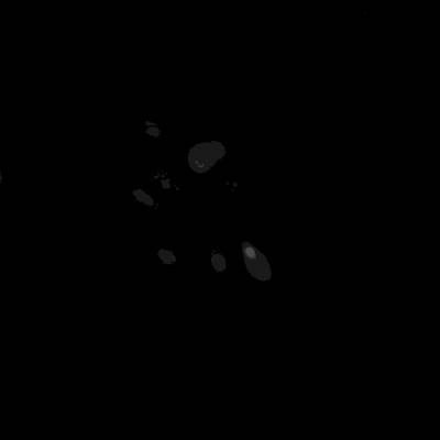 Sample image from Annotated Quantitative Phase Microscopy Cell