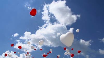 Sample image from GMOT-40