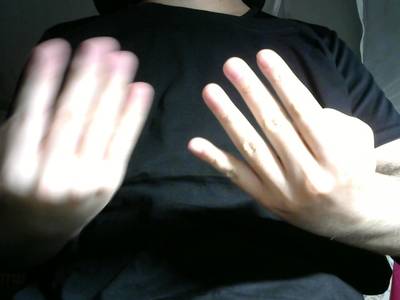 Sample image from Gesture v1.0