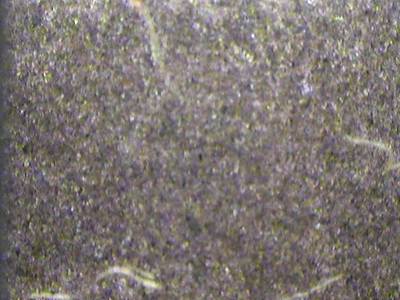 Sample image from PRMI