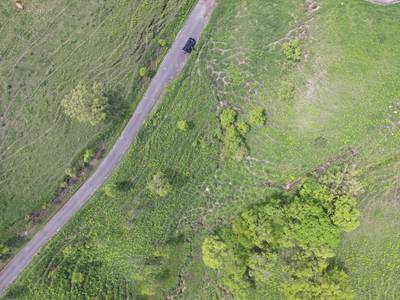 Sample image from Cattle Detection and Counting in UAV Images