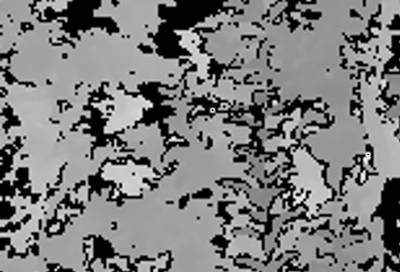 Sample image from KFuji RGB-DS