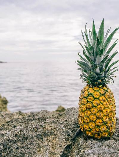 Sample image from Fruit Object Detection