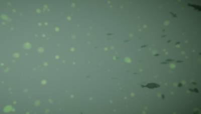 Sample image from BrackishMOT