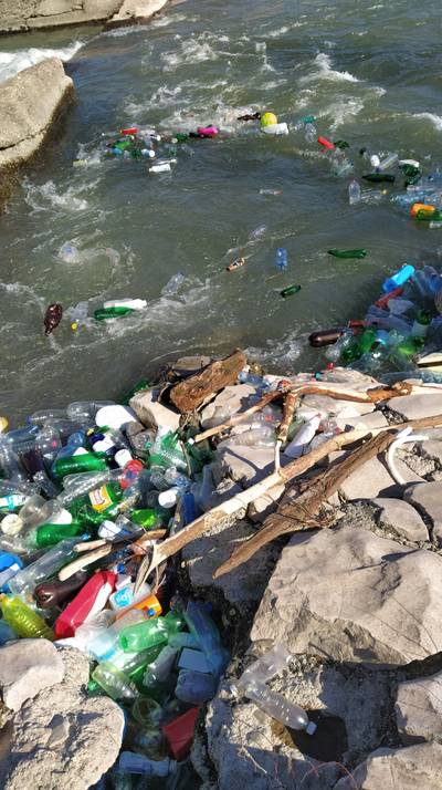 Sample image from Plastic Bottles