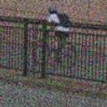 Sample image from Google Recaptcha Image