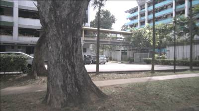 Sample image from nuImages