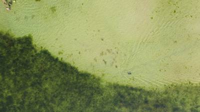 Sample image from AFO
