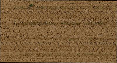 Sample image from Plant Detection and Counting
