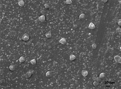 Sample image from EMPS