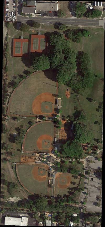 Sample image from iSAID