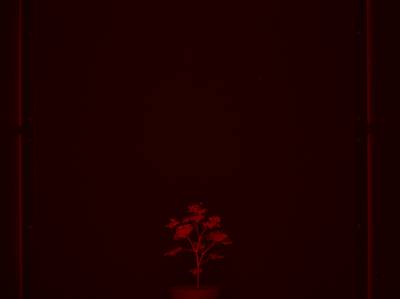 Sample image from CosegPP