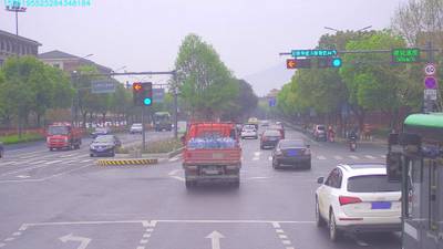 Sample image from S2TLD